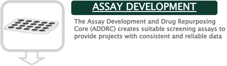 assay development